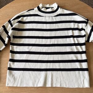 Evereve Black and White Striped Turtleneck Sweater